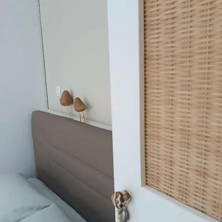 Pilea Luxury 3 *