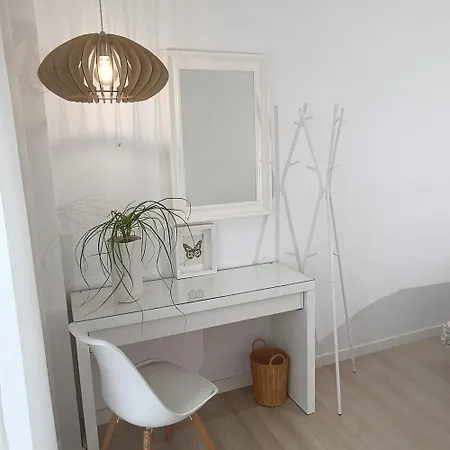 Pilea Luxury 3 *