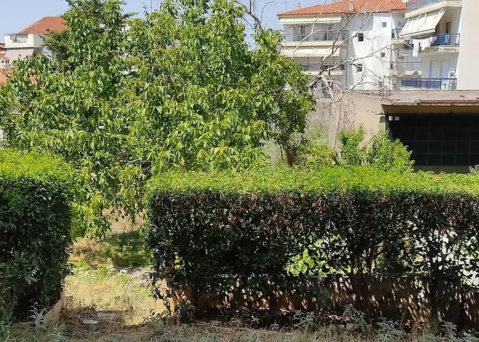 Pilea Luxury 3 Daire