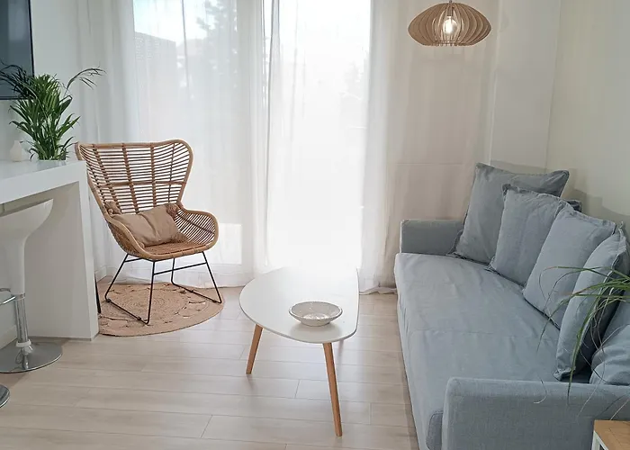 Pilea Luxury 3