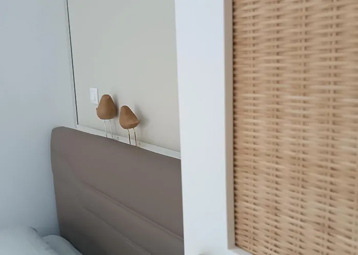 Pilea Luxury 3 *