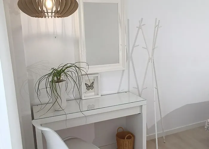 Pilea Luxury 3 *