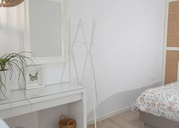 Pilea Luxury 3 *