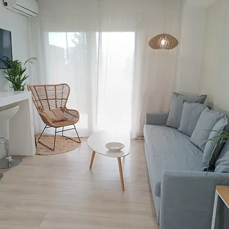 Pilea Luxury 3